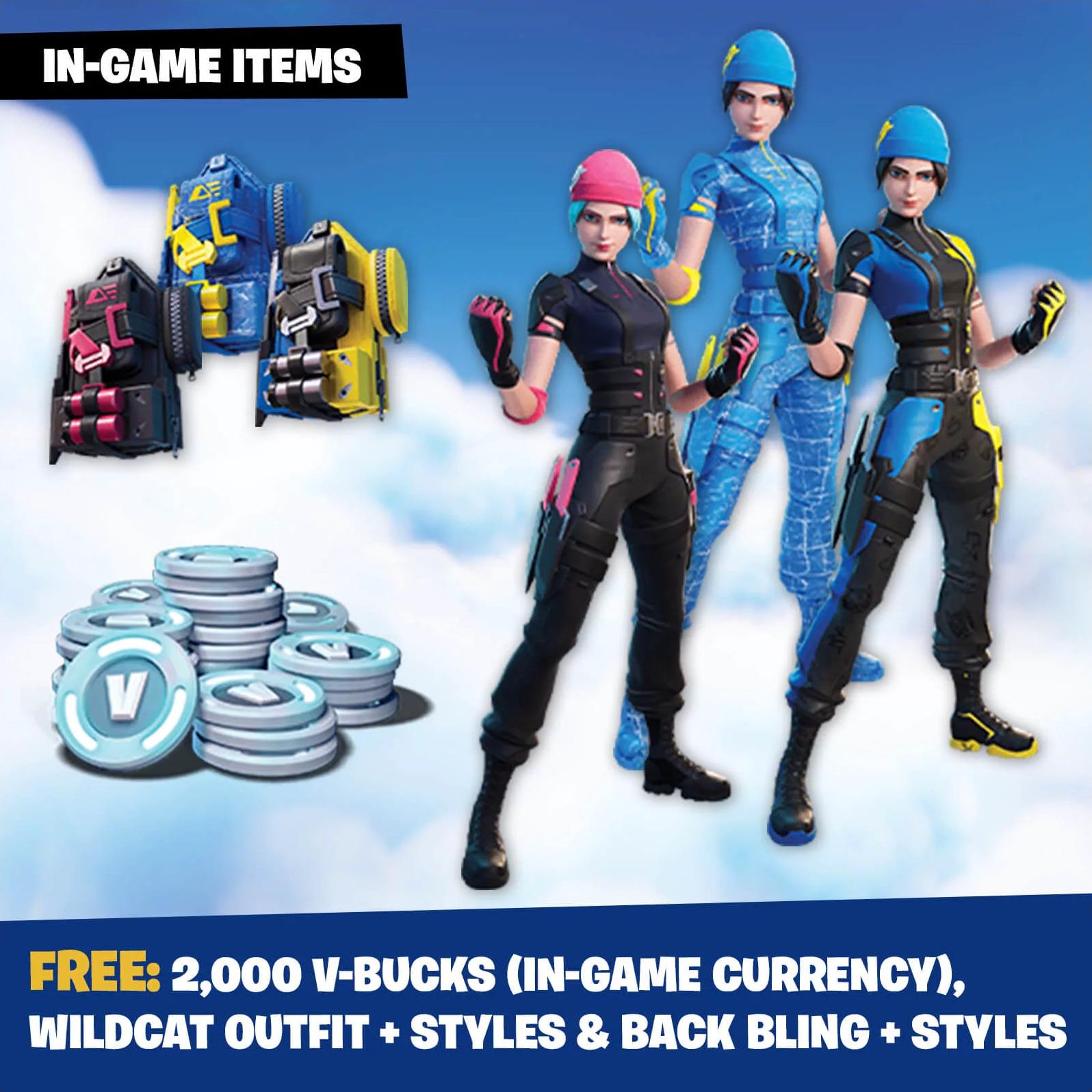 Nintendo Switch Fortnite Wildcat Bundle box art for Nintendo Switch