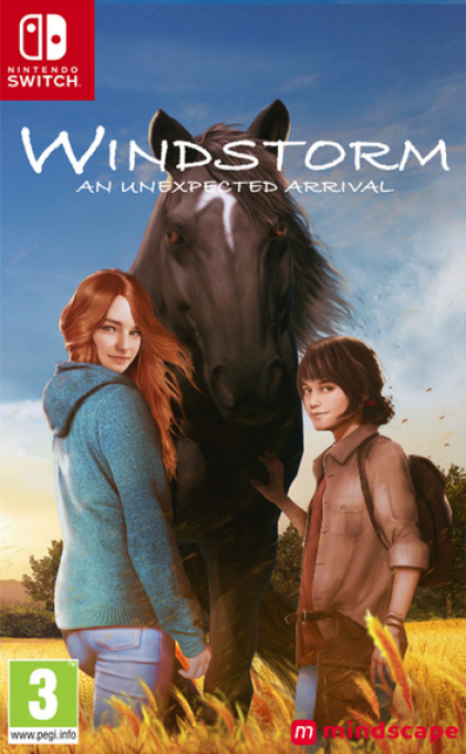 Windstorm: An Unexpected Arrival box art for Nintendo Switch