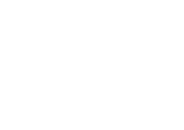 Black Bird logo for Nintendo Switch