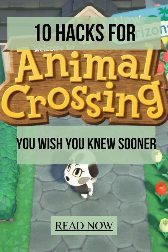 Animal Crossing: Nook Inc. Wireless Controller screenshot 2 for Nintendo Switch