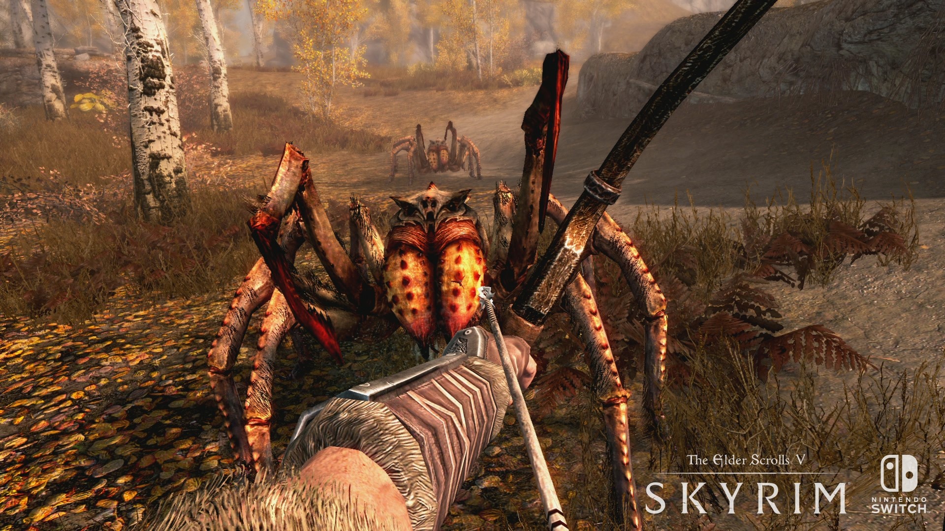 Elder Scrolls V: Skyrim screenshot 2 for Nintendo Switch