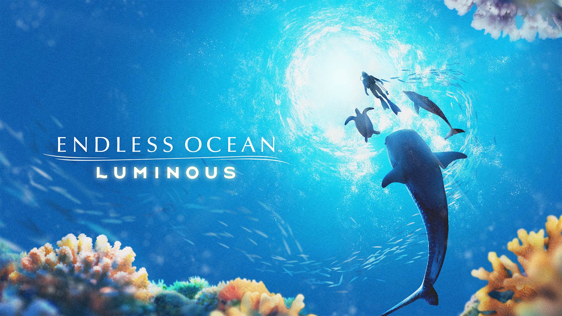 Endless Ocean Luminous screenshot 3 for Nintendo Switch
