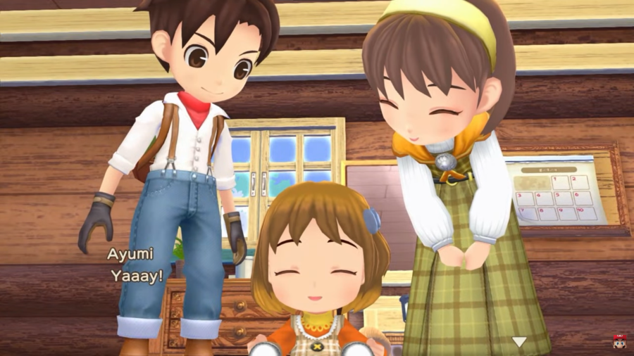 Harvest Moon Light of Hope [Limited Edition] screenshot 3 for Nintendo Switch