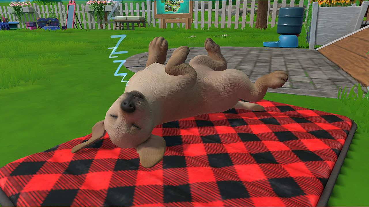 Little Friends: Puppy Island screenshot 4 for Nintendo Switch