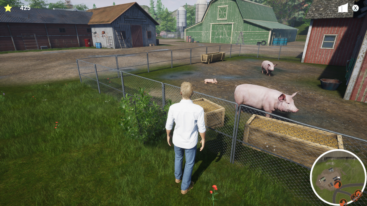 My Life: Farm Vet screenshot 2 for Nintendo Switch