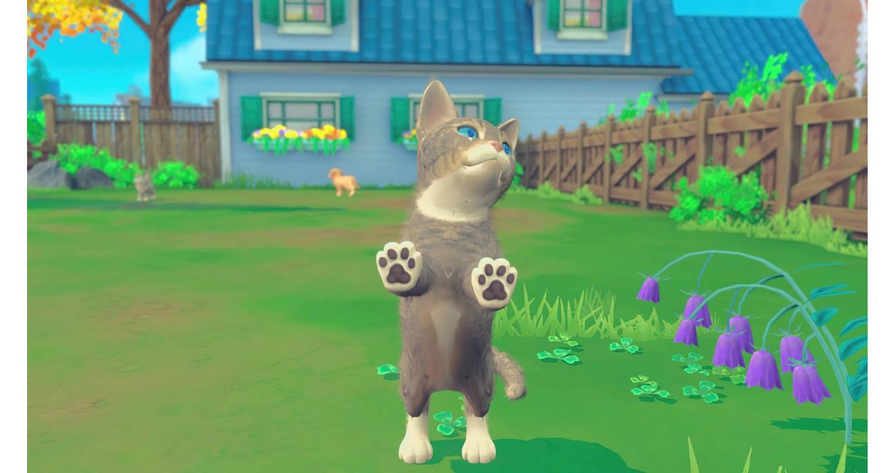 My Universe: Pets Edition screenshot 4 for Nintendo Switch
