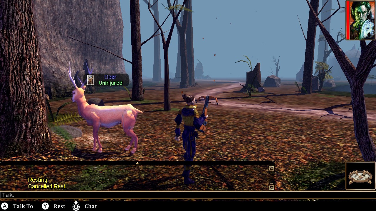 Neverwinter Nights Enhanced Edition screenshot 2 for Nintendo Switch
