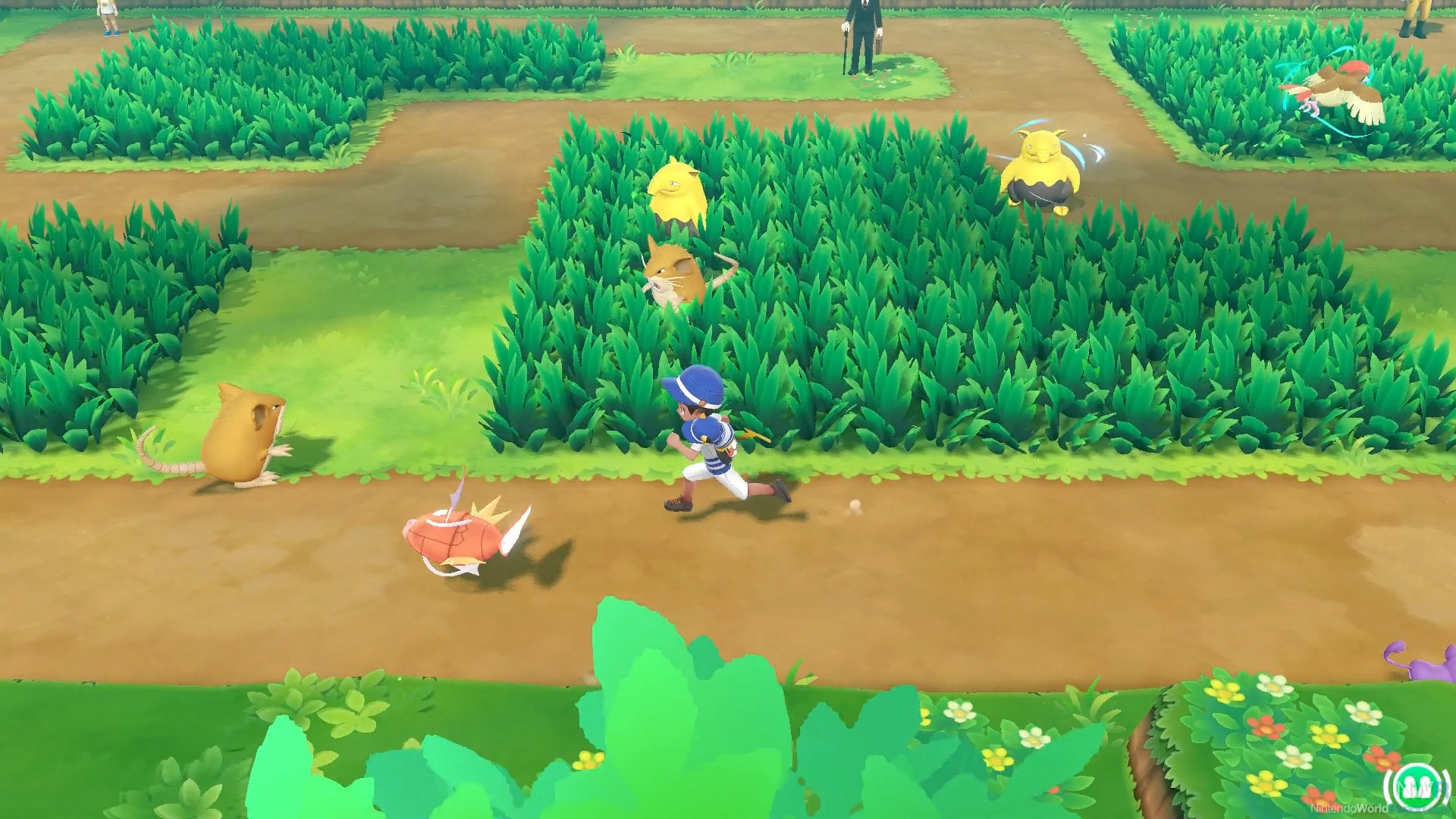 Pokemon Let's Go Pikachu screenshot 4 for Nintendo Switch