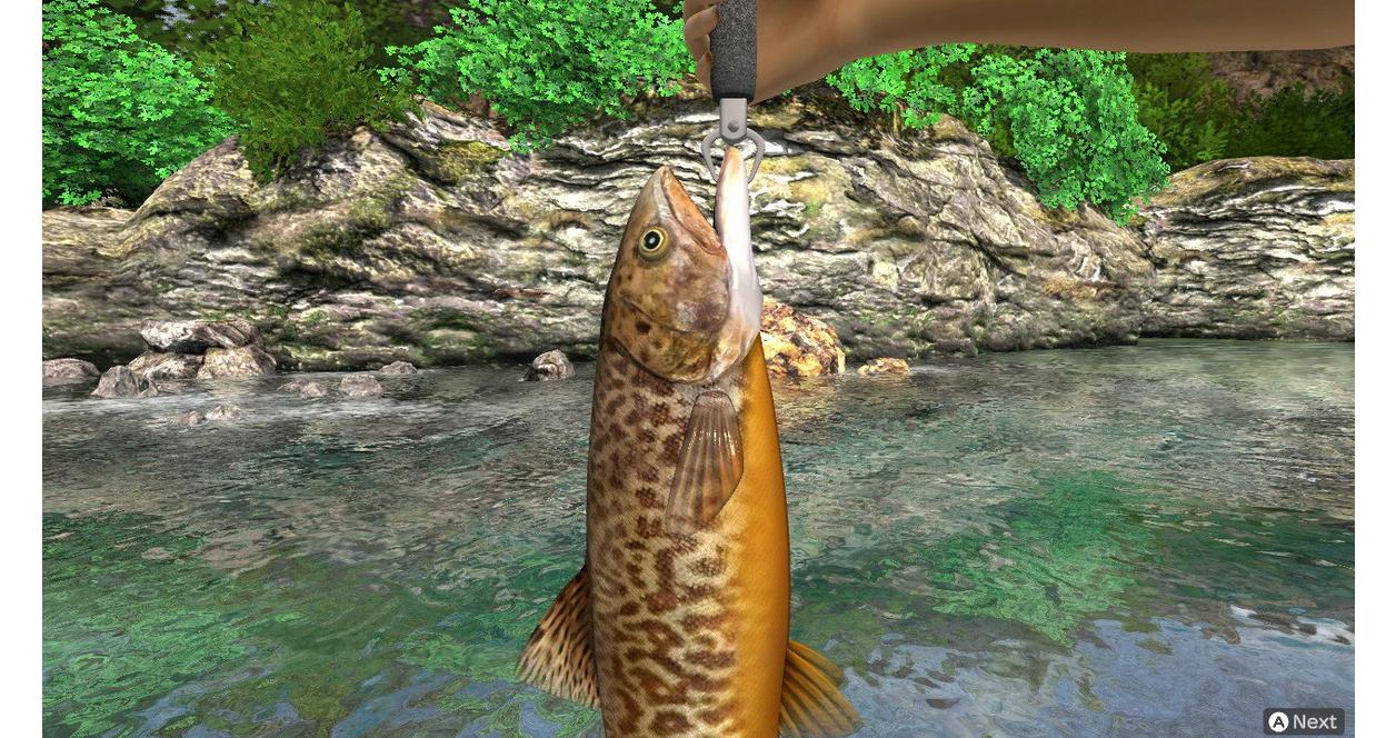 Reel Fishing: Days Of Summer screenshot 4 for Nintendo Switch