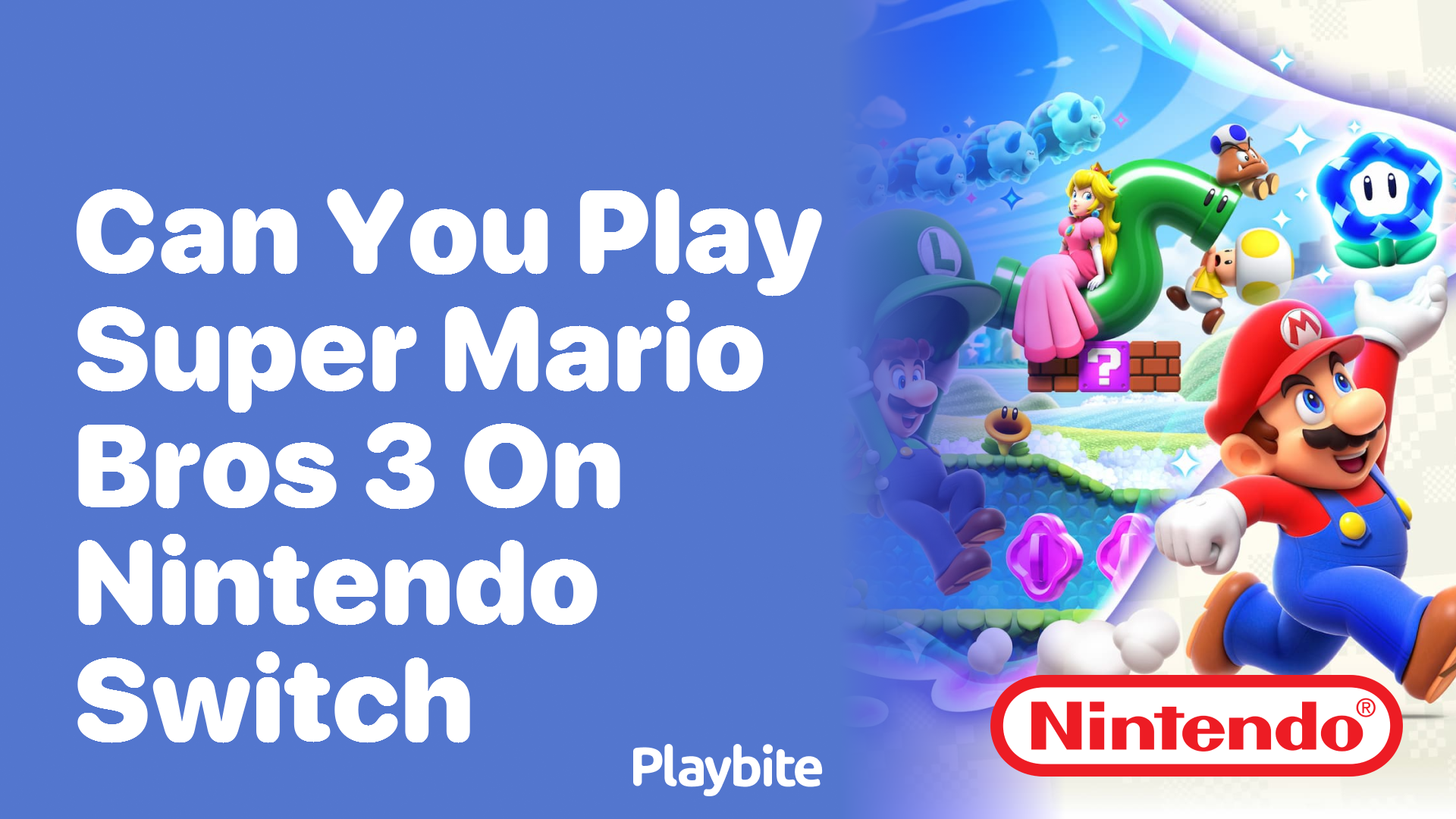 Super Mario Bros. 3 Wireless Controller screenshot 2 for Nintendo Switch