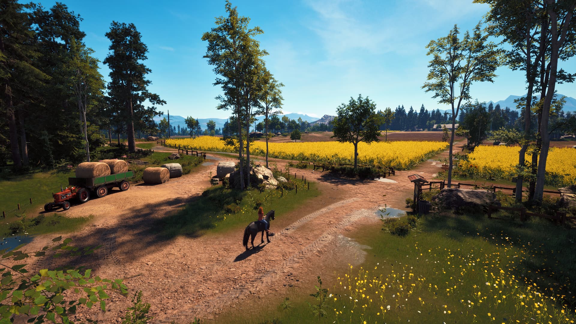 Windstorm: Start of a Great Friendship screenshot 3 for Nintendo Switch