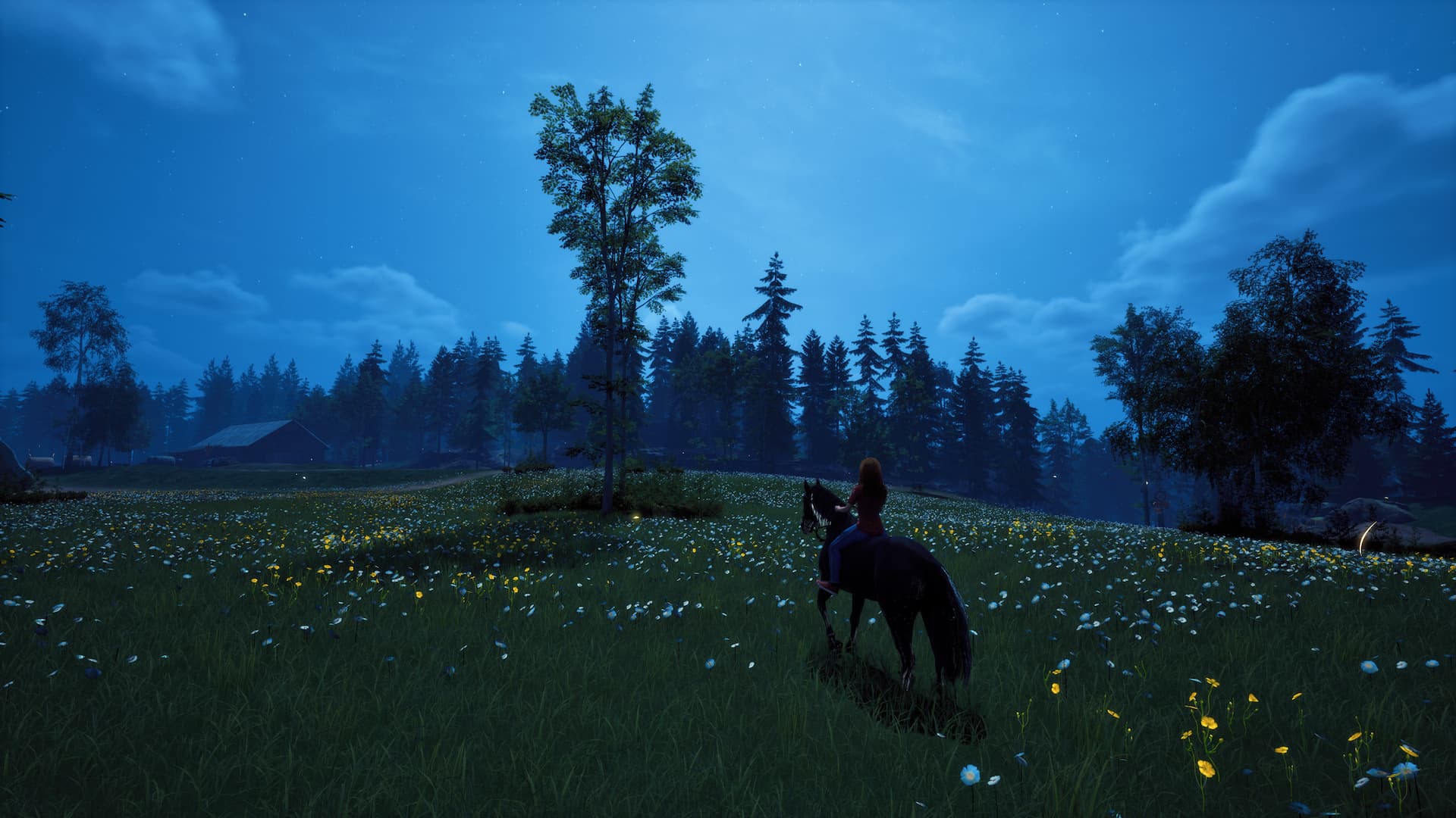 Windstorm: Start of a Great Friendship screenshot 4 for Nintendo Switch
