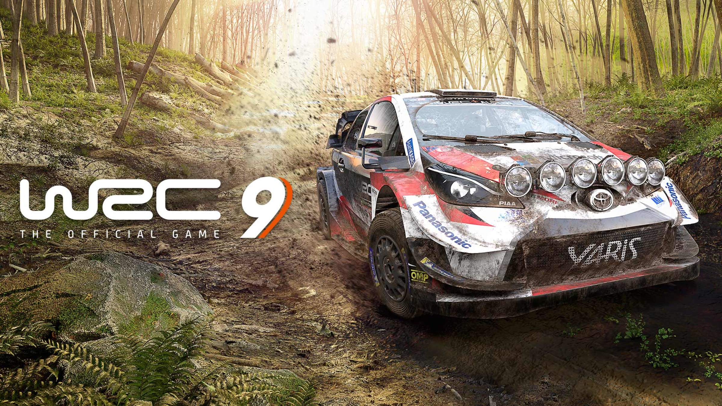WRC 9 screenshot 4 for Nintendo Switch