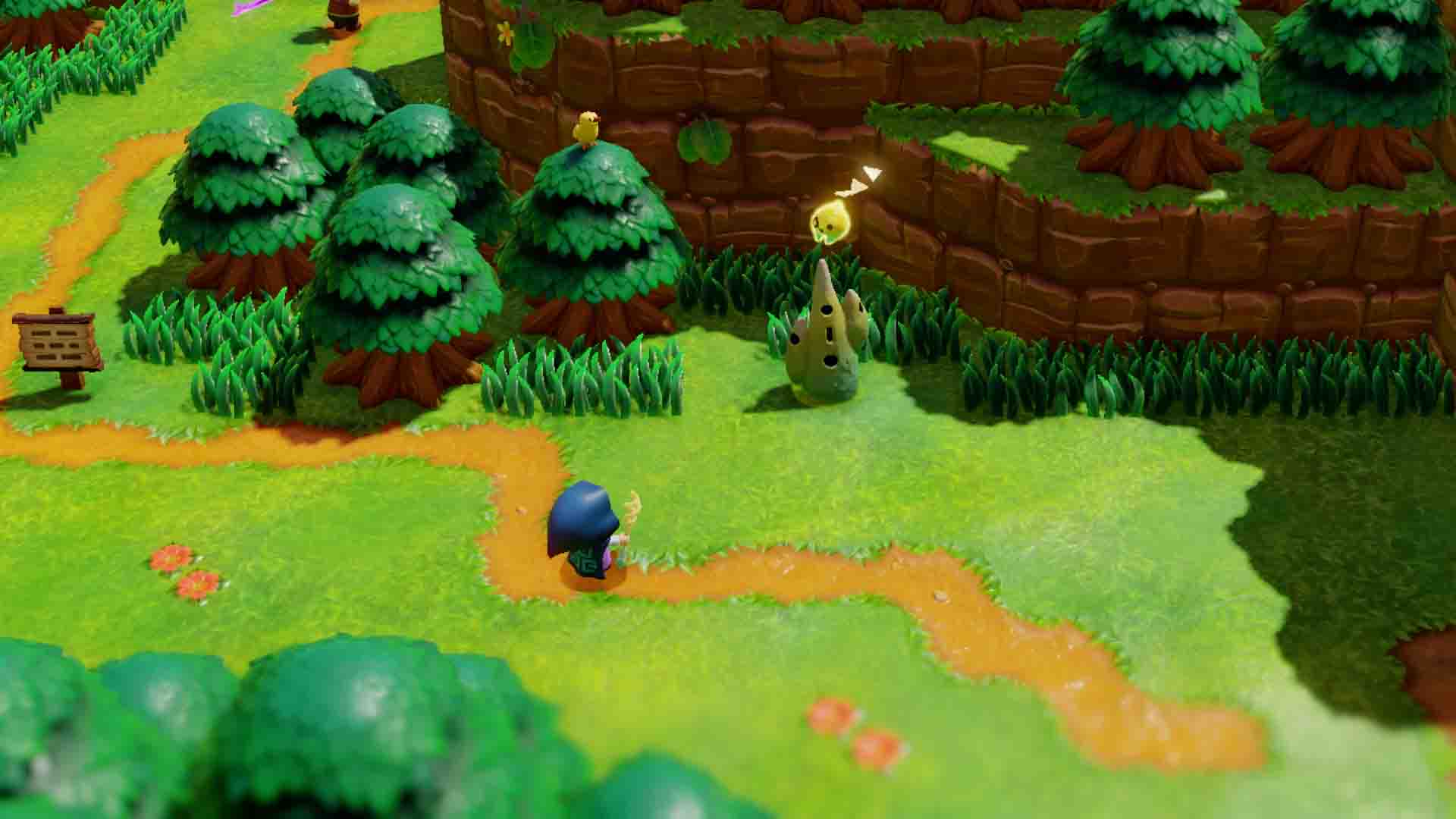 Zelda: Echoes Of Wisdom screenshot 3 for Nintendo Switch