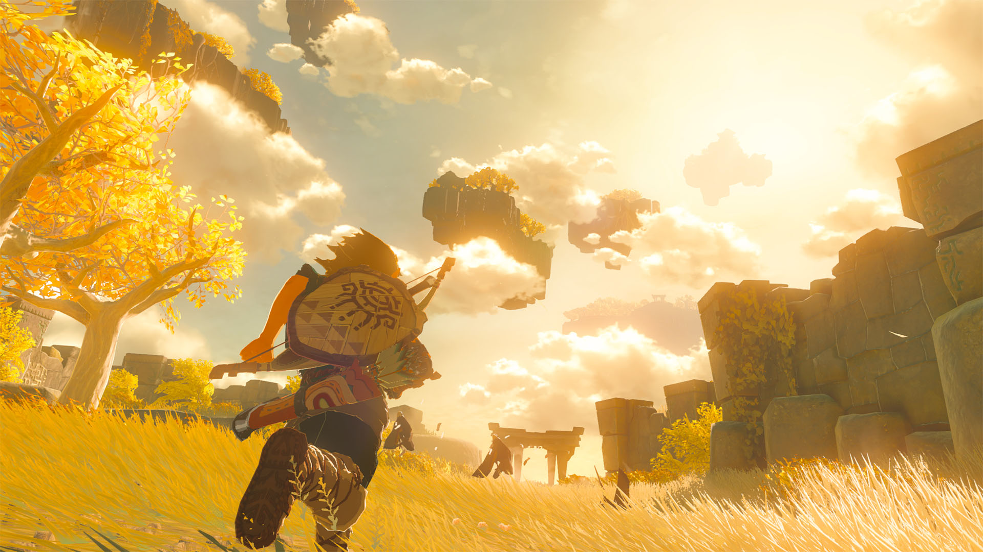 Zelda: Tears Of the Kingdom screenshot 5 for Nintendo Switch