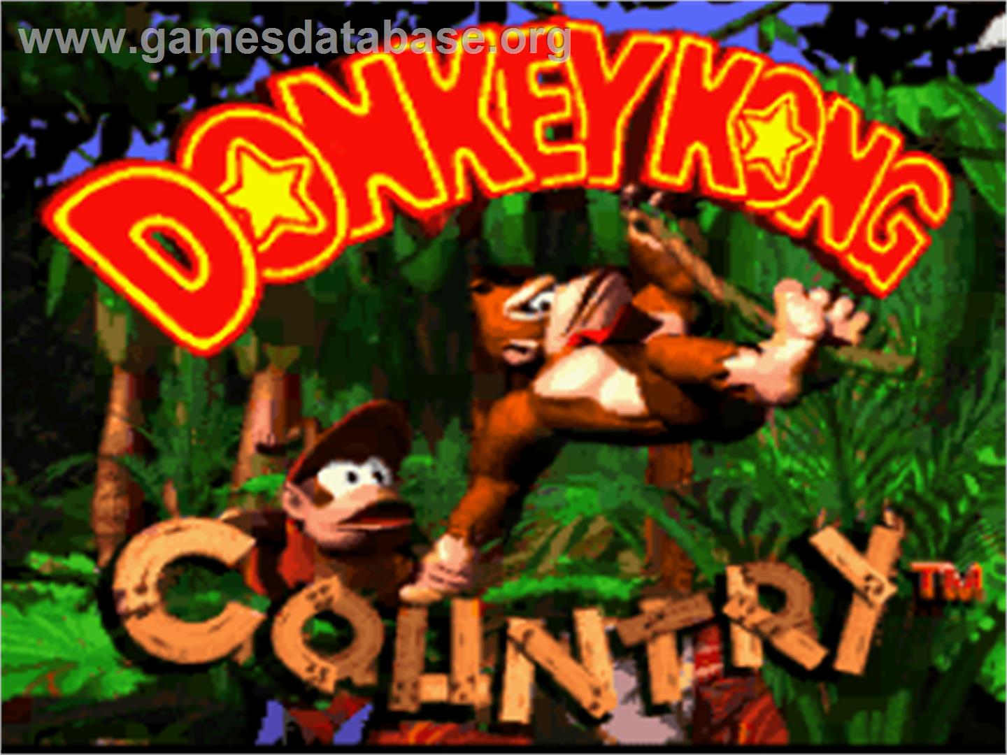 Donkey Kong Wired Controller title screen for Nintendo Switch