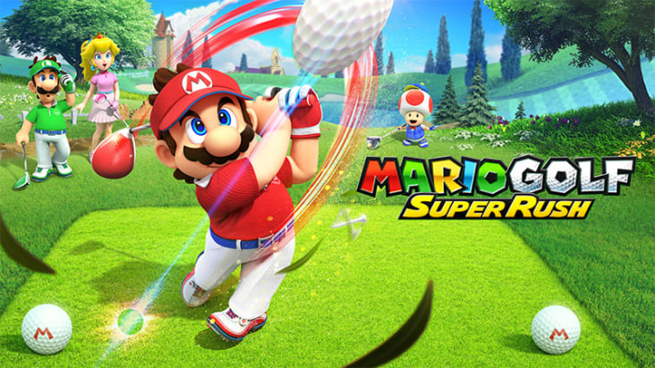 Mario Mushroom Pro Controller title screen for Nintendo Switch