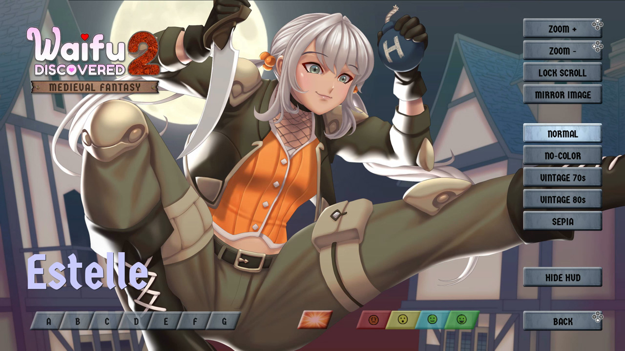 Waifu Discovered 2: Medieval Fantasy box art for Nintendo Switch