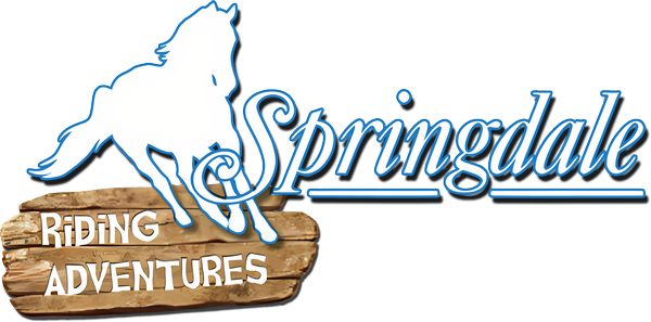 Springdale logo for Wii