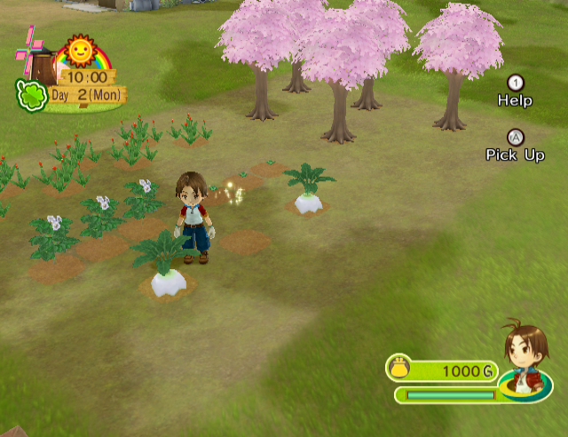 Harvest Moon: Animal Parade screenshot 3 for Wii