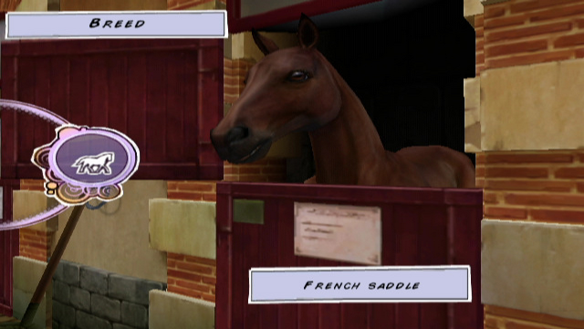 Horse Life 2 screenshot 3 for Wii