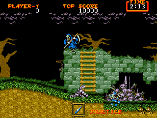 Dai Makaimura screenshot 4 for Sega Mega Drive