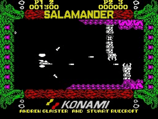 Salamander screenshot 3 for ZX Spectrum