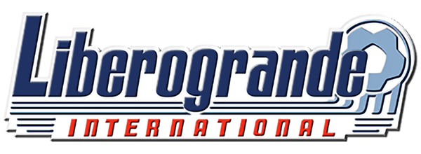 Liberogrande 2 logo for Playstation