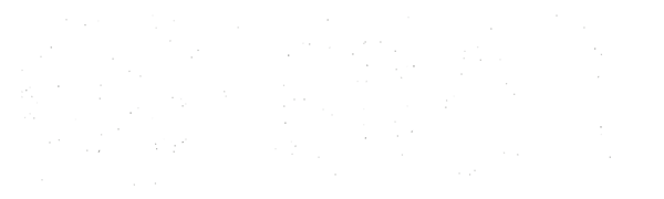 Bad Boys II logo for Playstation 2