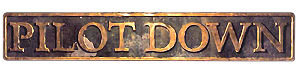 Pilot Down: Behind Enemy Lines logo for Playstation 2