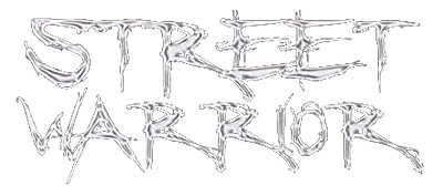Street Warrior logo for Playstation 2