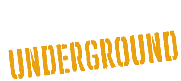 Tony Hawk's Underground [Digital Pix Pack] logo for Playstation 2