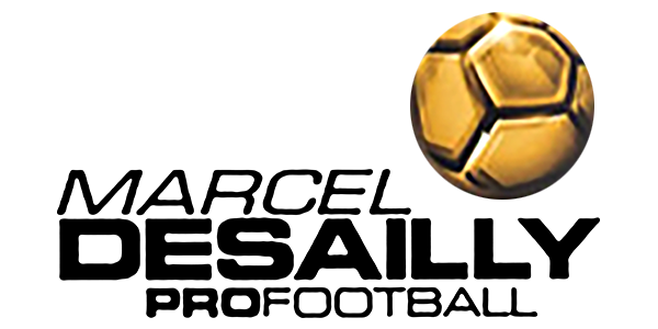 WM Nationalspieler logo for Playstation 2