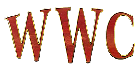 World Wrestling Championship logo for Playstation 2