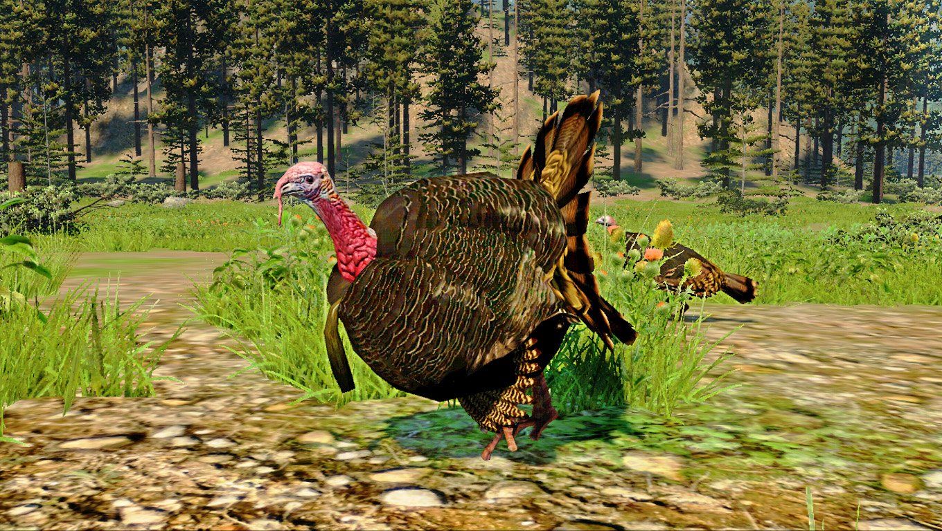 Cabela's Outdoor Adventures screenshot 4 for Playstation 2