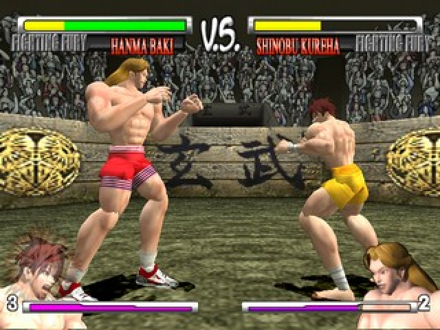 Fighting Fury screenshot 3 for Playstation 2