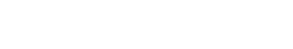 Screamer Echo Edition logo for Playstation 5