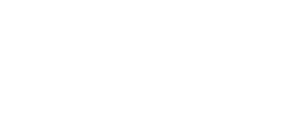 NES logo