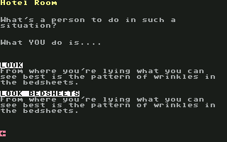 Amnesia screenshot 4 for Commodore 64