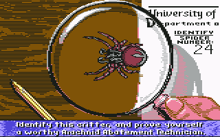 Arachnophobia screenshot 3 for Commodore 64