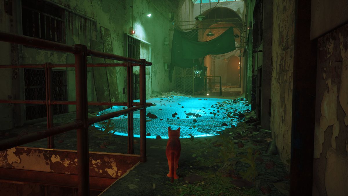 Stray screenshot 2 for Xbox Series X