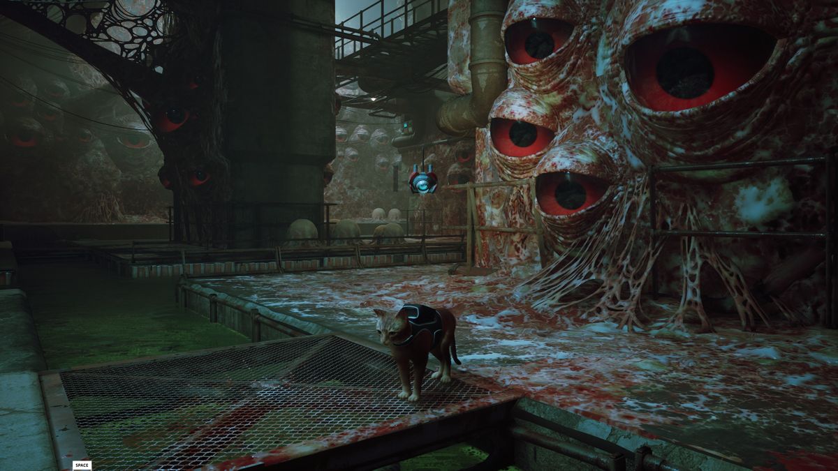 Stray screenshot 3 for Xbox Series X