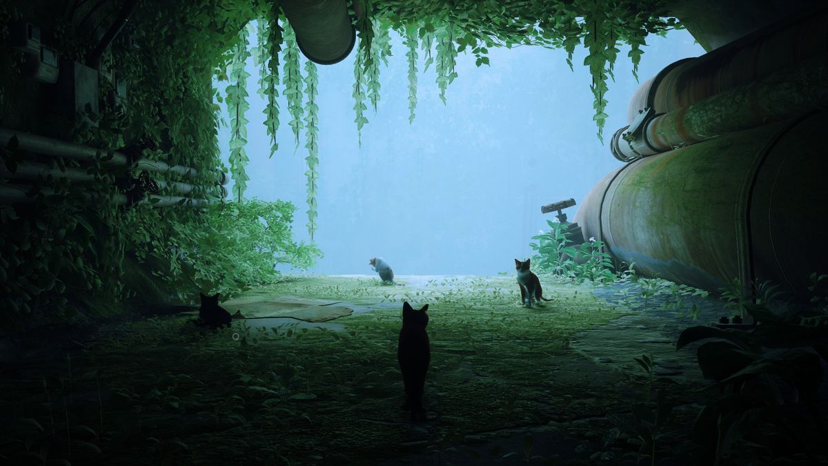 Stray screenshot 4 for Xbox Series X