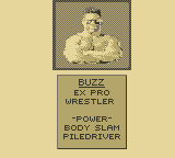 Pit-Fighter screenshot 4 for GameBoy