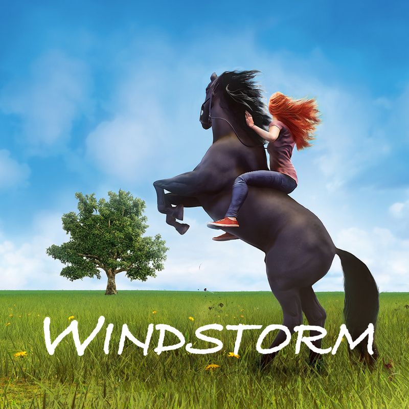Windstorm box art for Nintendo Switch