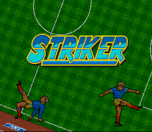 Striker screenshot 5 for Super Nintendo