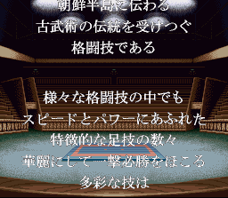 Taekwon-Do screenshot 4 for Super Famicom