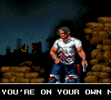 Arena screenshot 4 for Sega Game Gear