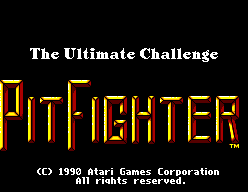 Pit-Fighter screenshot 3 for Sega Master System