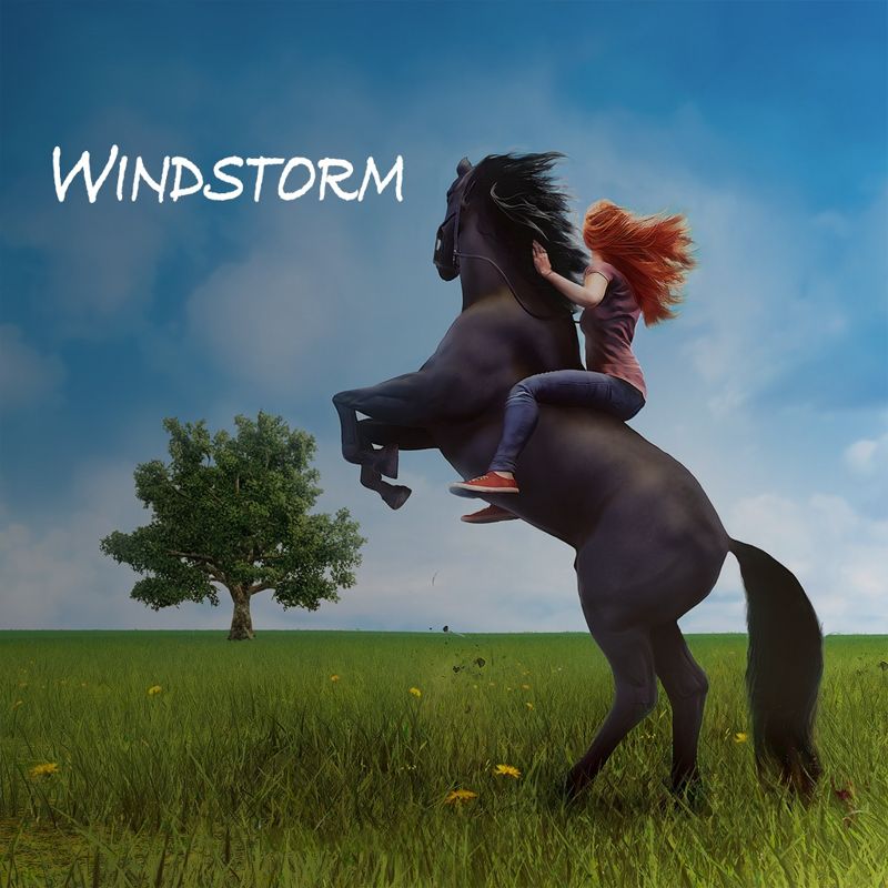 Windstorm: Start of a Great Friendship box art for Playstation 4